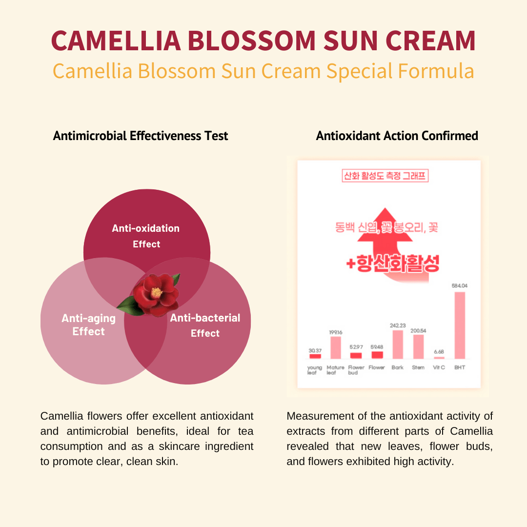 [JEJU INDI] Blossom Sun Cream 50ml - Glam Global UKJEJU INDI