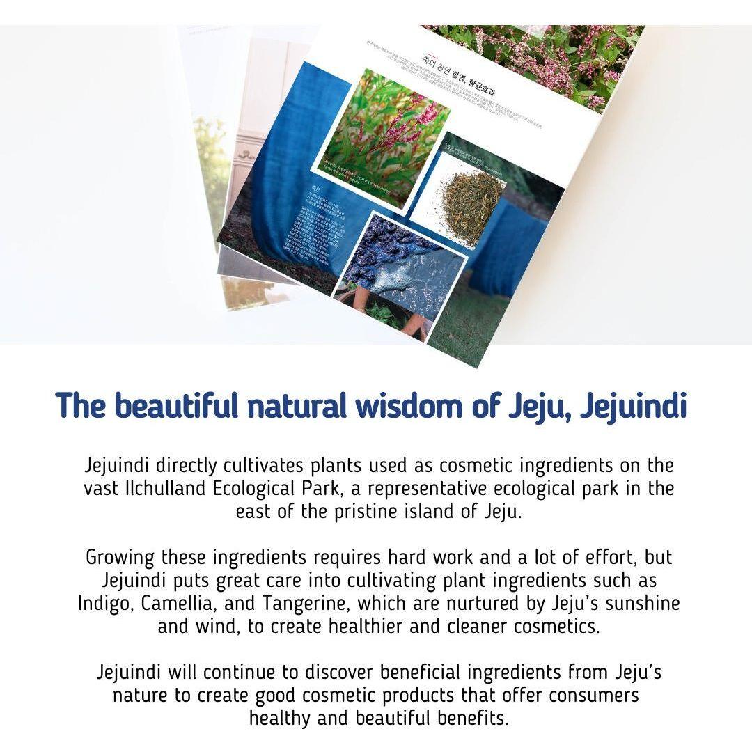 [JEJU INDI] Indigo Moist Gel Cream 80g - Glam Global UKJEJU INDI