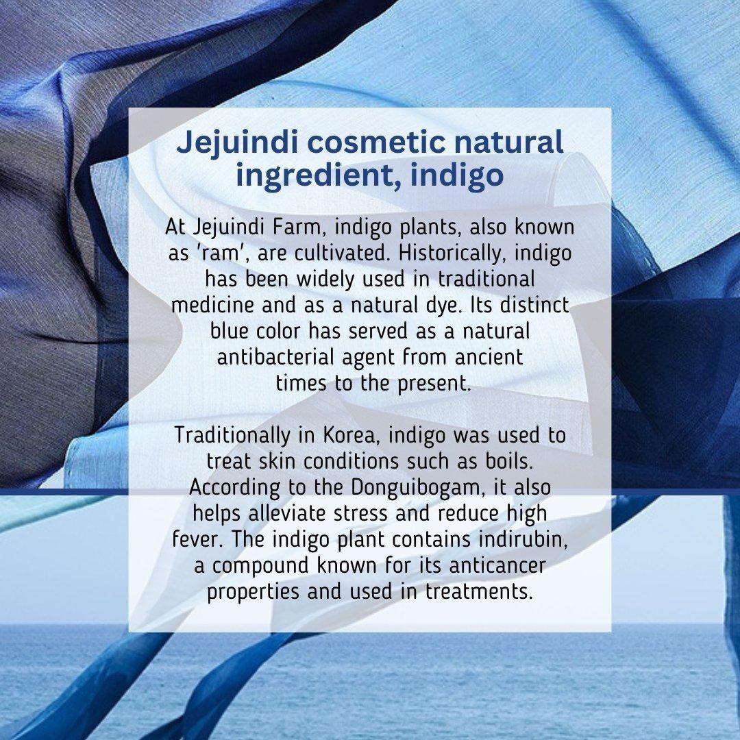 [JEJU INDI] Indigo Moist Gel Cream 80g - Glam Global UKJEJU INDI