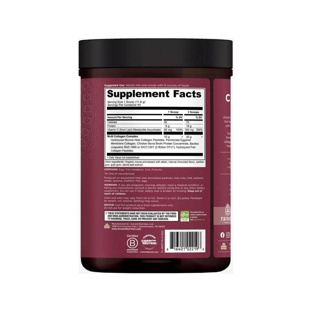 Ancient Nutrition Multi Collagen Protein - Chocolate - Glam Global UKAncient Nutrition
