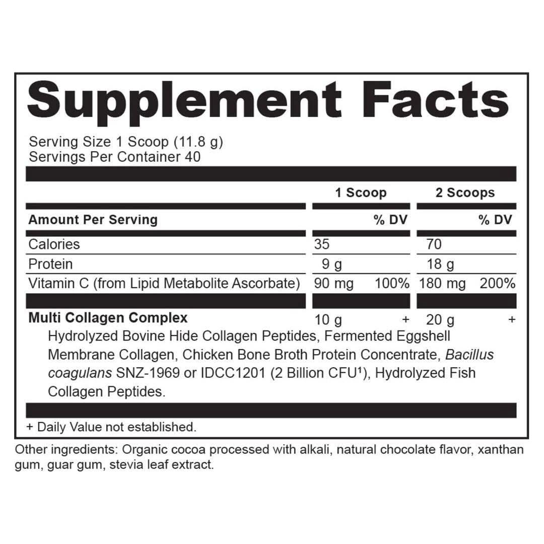 Ancient Nutrition Multi Collagen Protein - Chocolate - Glam Global UKAncient Nutrition