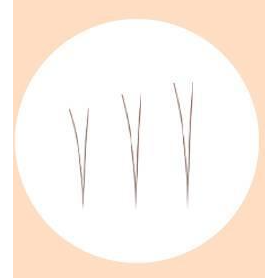 Pestañas en Tira FilliMilli Point Piece (4 mm, 5 mm, 6 mm) – Natural Bajo el Ojo (90 unidades) | Mejora Fácil para el Área Bajo el Ojo