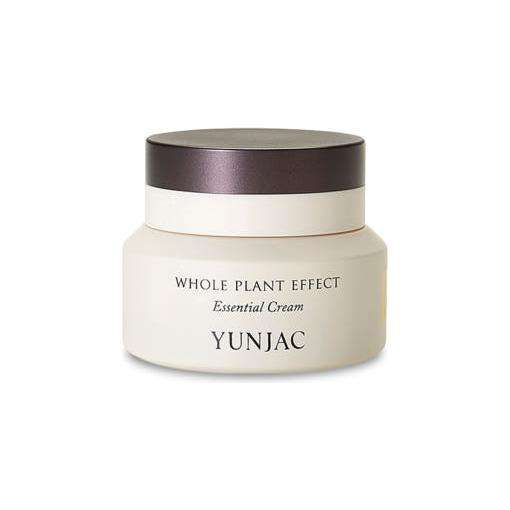 YUNJAC Whole Plant Effect Essential Cream – 50ml | Hidratante de Hidratación Profunda y Reafirmante