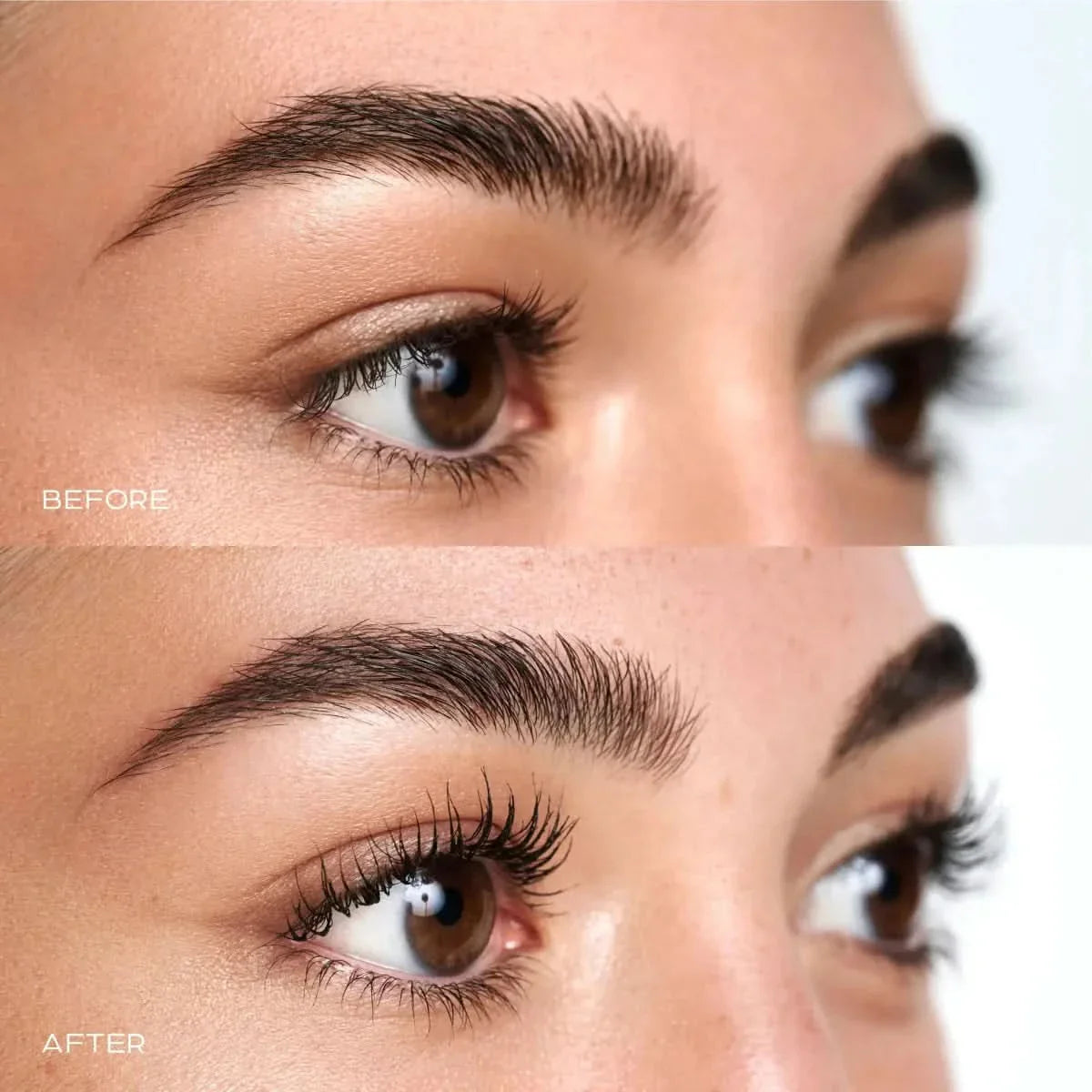 Trendy Lash Curler: Long - Lasting, Gentle Lash Curling for Perfect Eyelashes - Glam Global UKGlam Global UK