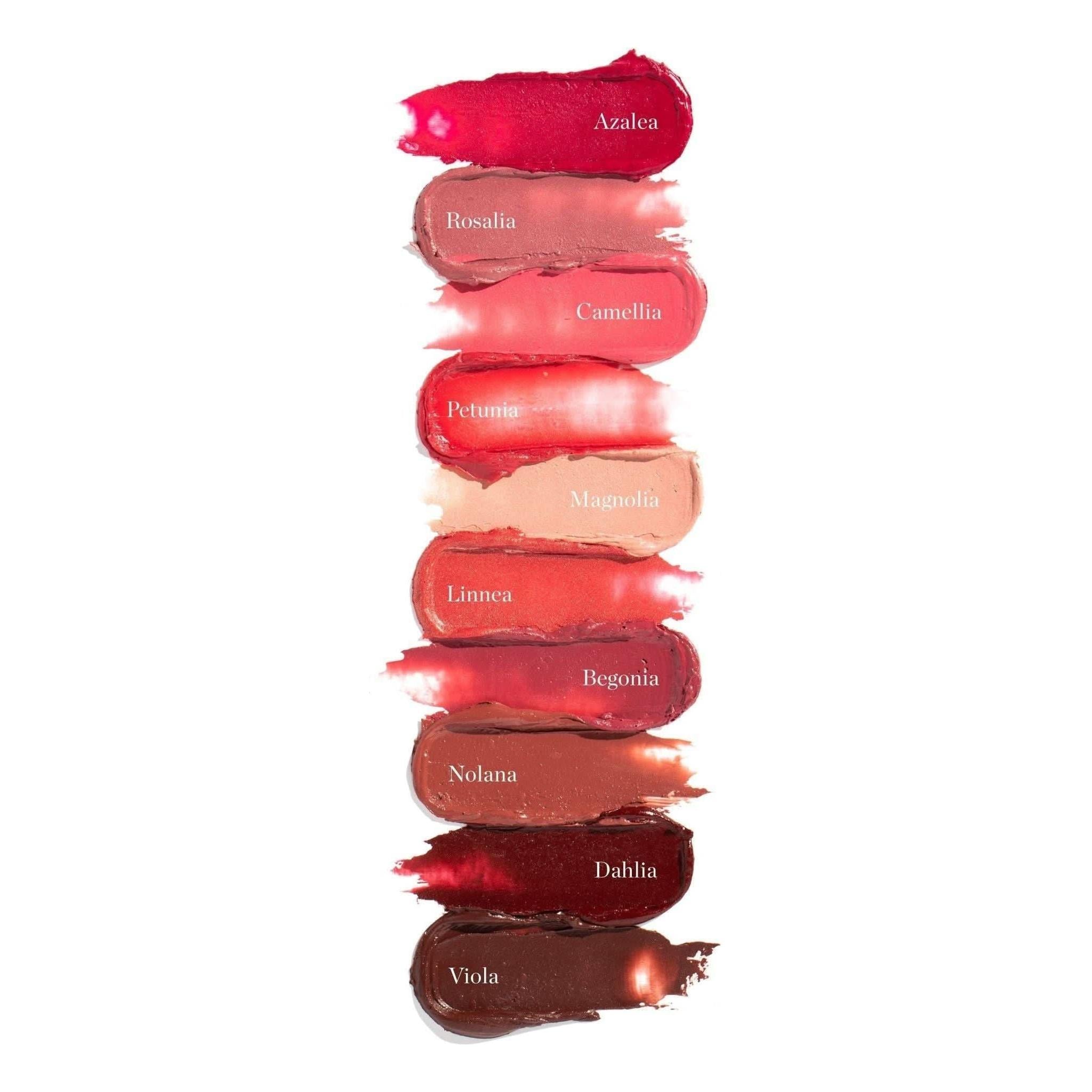 Ogee Tinted Sculpted Lip Oil - Glam Global UKOgee