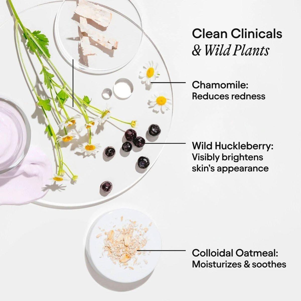Alpyn Beauty Wild Huckleberry Radiance Recovery Peel - 50ml - Glam Global UKAlpyn Beauty