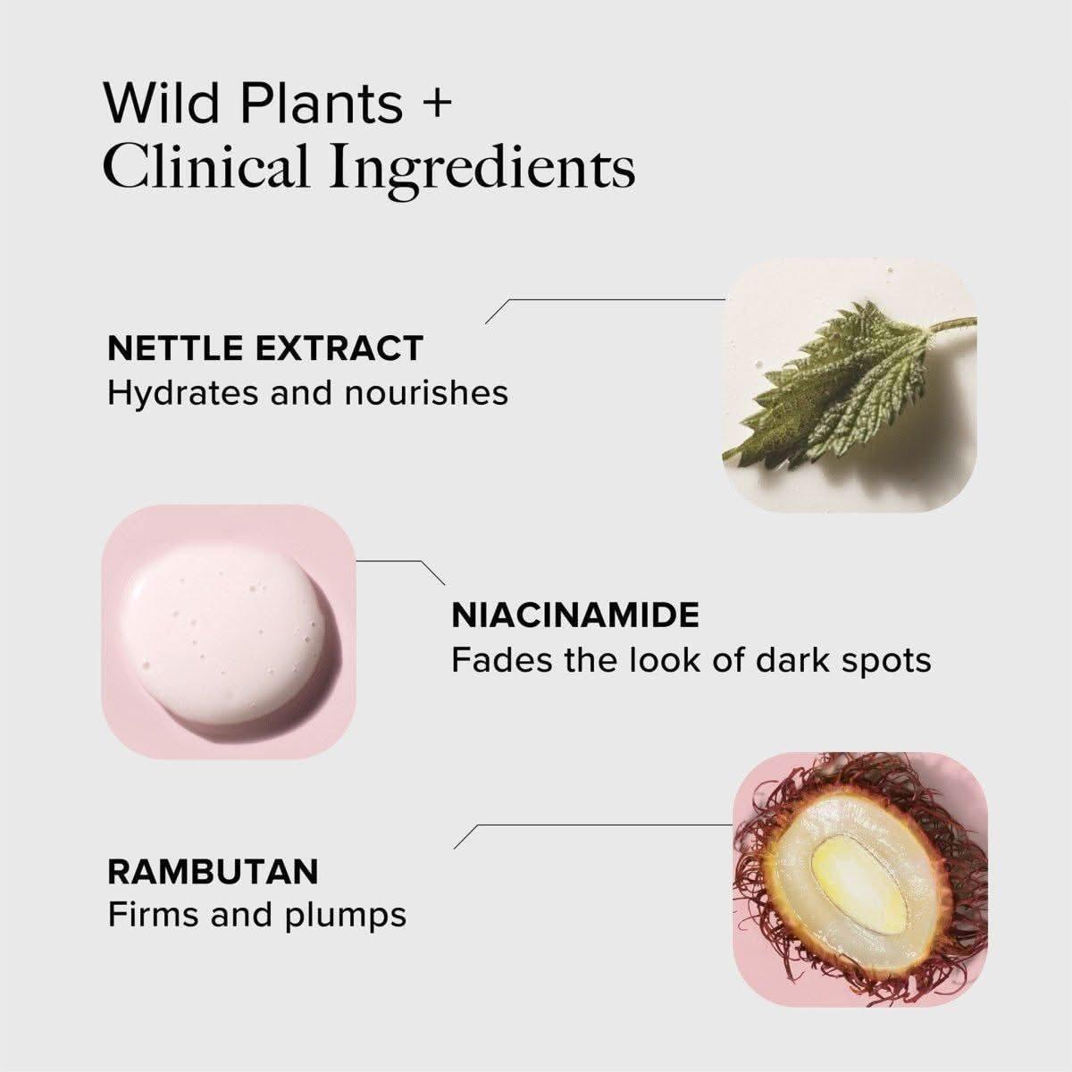 Alpyn Beauty Wild Nettle and Niacinamide Firming Serum - 30ml - Glam Global UKAlpyn Beauty